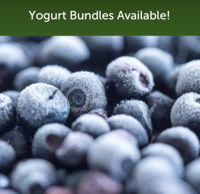 YogurtBundleBlueberry.jpg